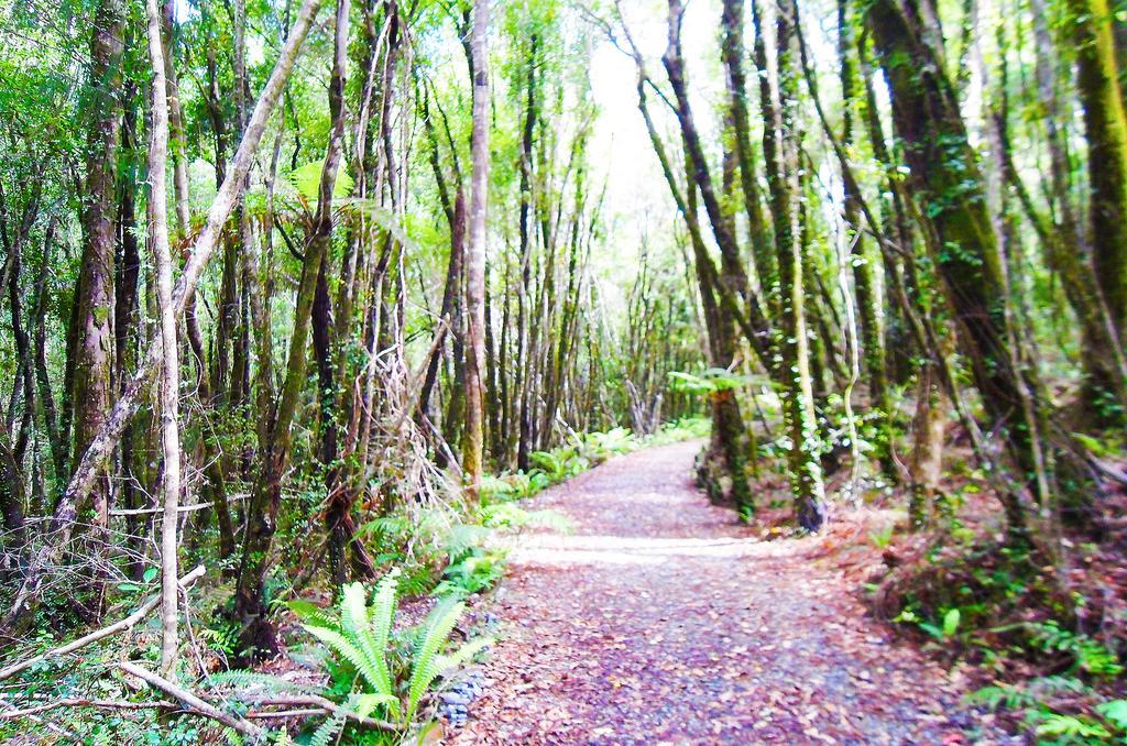 库马拉73号公路汽车旅馆 Kumara 外观 照片